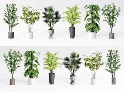 现代绿植盆栽3D模型下载